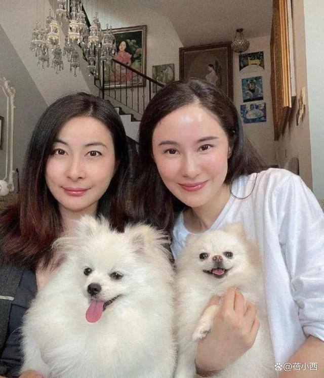 深V领衬衫+齐肩发简约又有范儿。凯发入口豪宅聚会搭配指南：郭晶晶