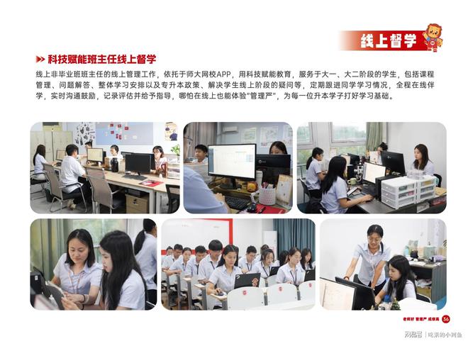 升本丨山东专升本培训行业标杆凯发k8娱乐登录师大教育专(图12)