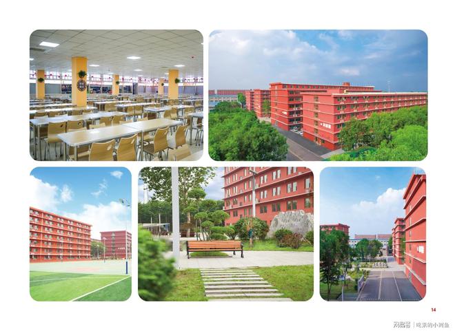 升本丨山东专升本培训行业标杆凯发k8娱乐登录师大教育专(图16)